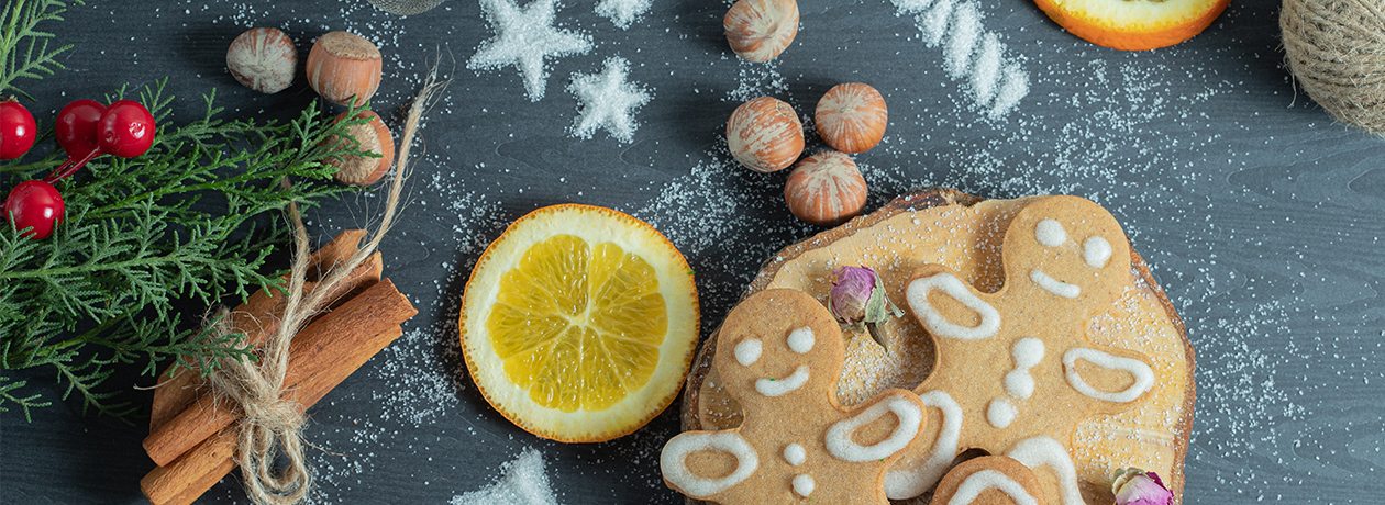 slide /fotky104433/slider/Banner_rotator_Vanoce_bez_textu.jpg